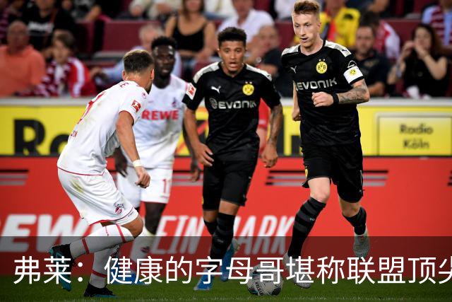 弗莱：健康的字母哥堪称联盟顶尖球员，当前环境令其如鱼得水